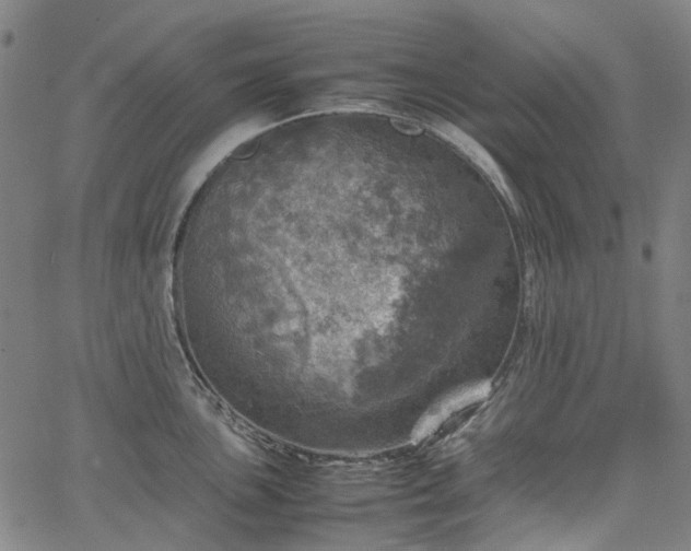 X0000067891051200604201304