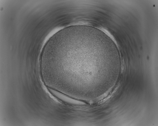 X0000067891053200604201304