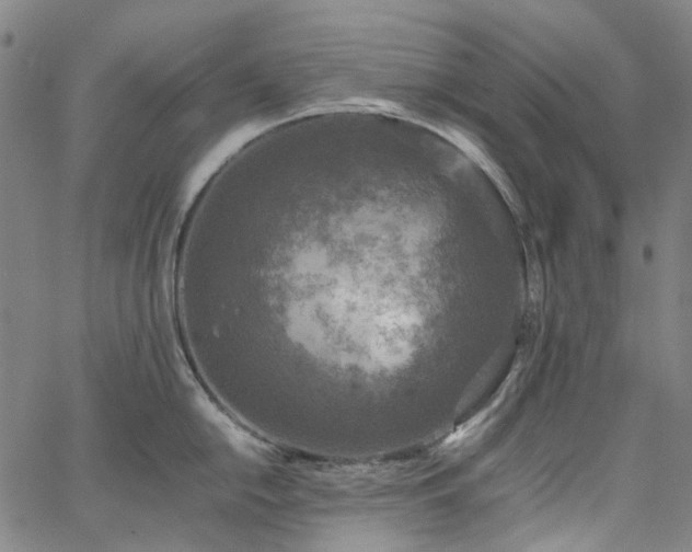 X0000067891054200604201304