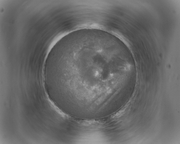 X0000067891056200604201304