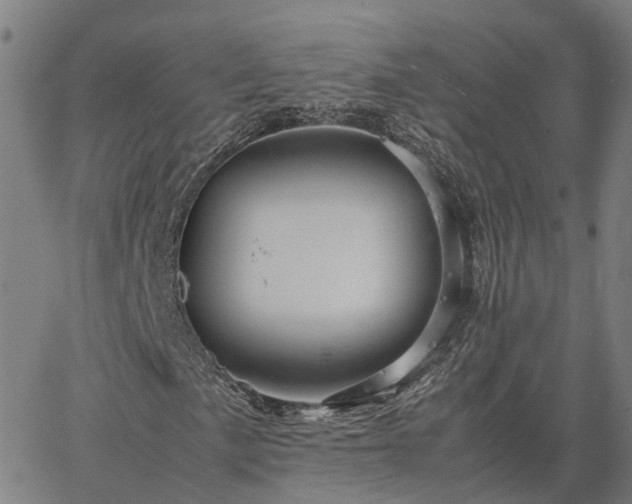 X0000067891057200604201303