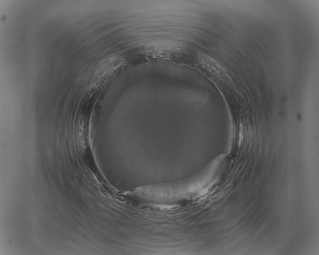 X0000067891060200604201303