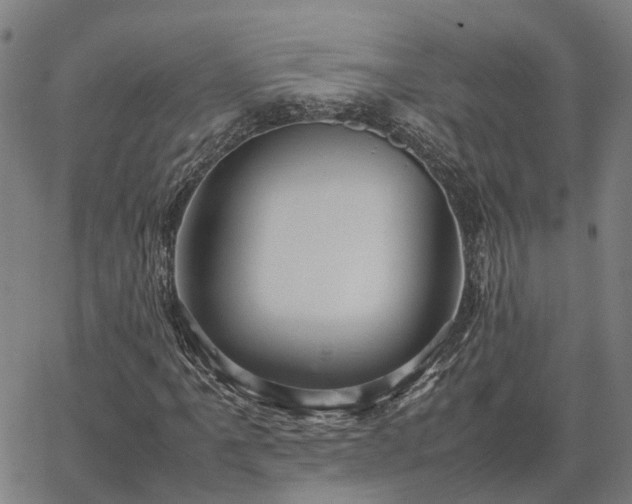 X0000067891061200604201303