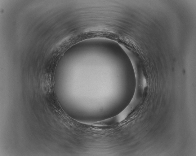 X0000067891062200604201303