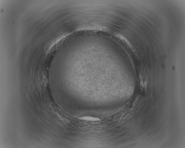 X0000067891064200604201303