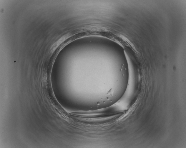 X0000067891065200604201303