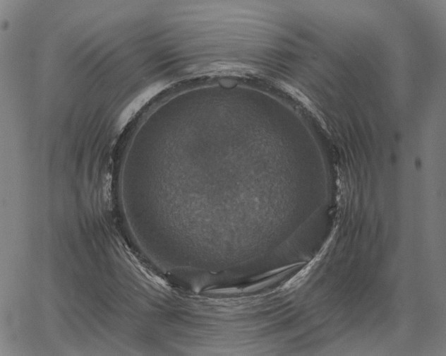 X0000067891066200604201303