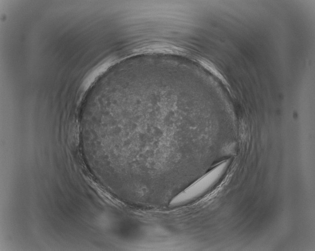 X0000067891067200604201303