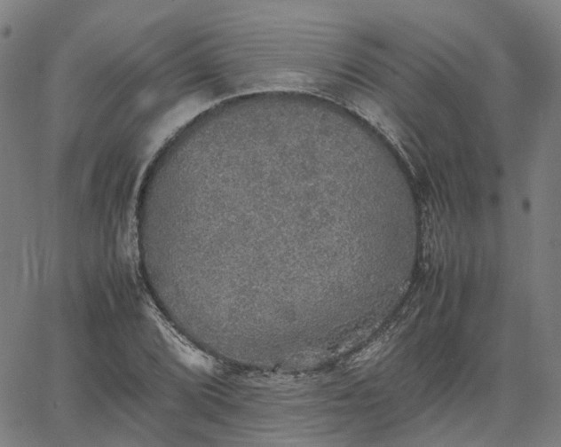 X0000067891072200604201303