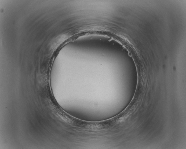 X0000067891073200604201303