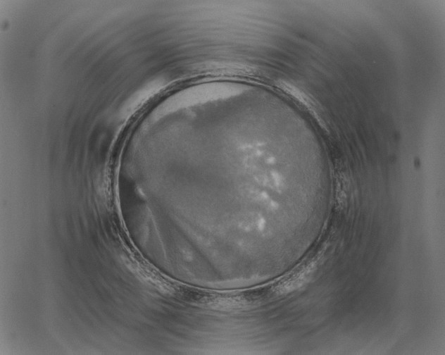 X0000067891074200604201303