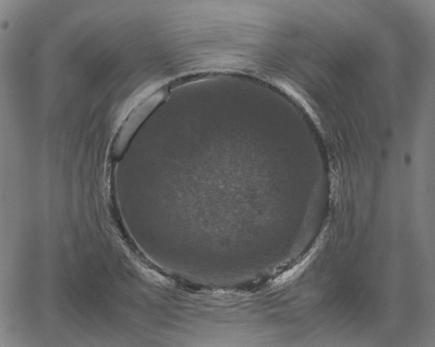 X0000067891077200604201303