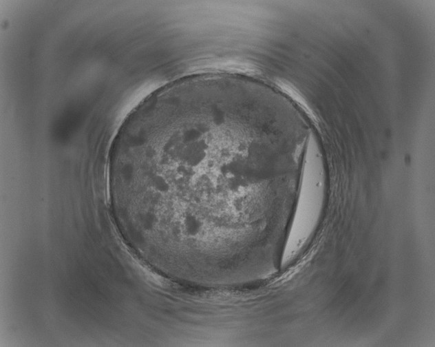 X0000067891079200604201303