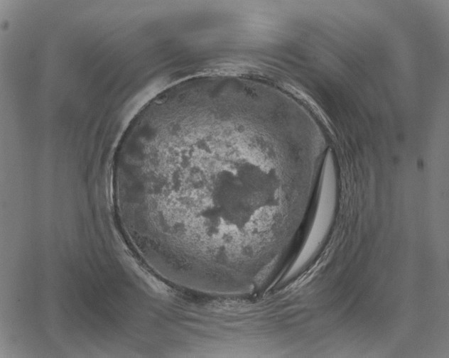 X0000067891083200604201303