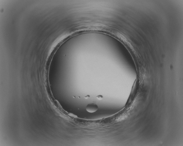 X0000067891085200604201303