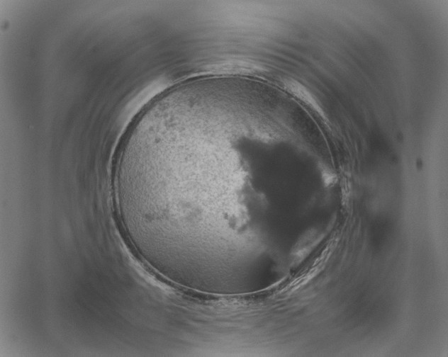 X0000067891087200604201303