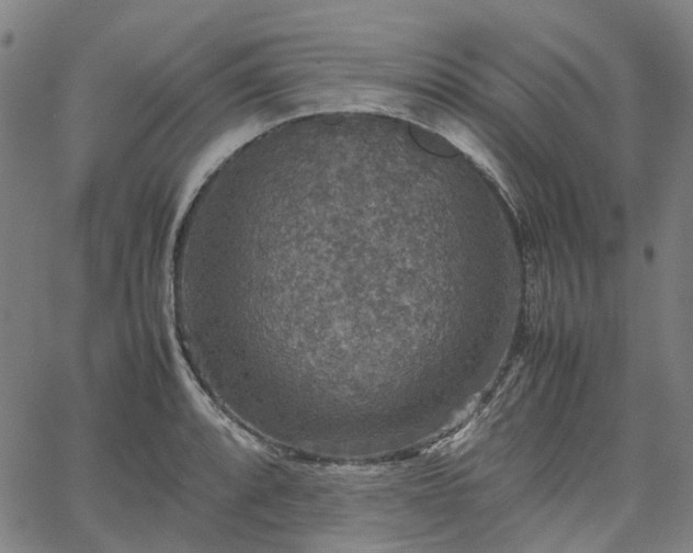 X0000067891088200604201303