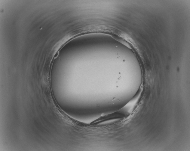 X0000067891089200604201303