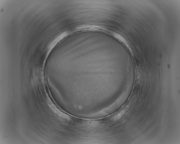 X0000067891090200604201303