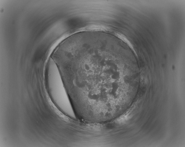 X0000067891091200604201303