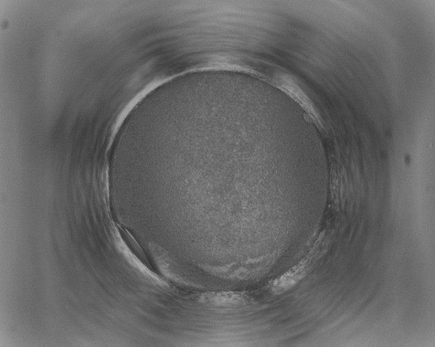 X0000067891092200604201303