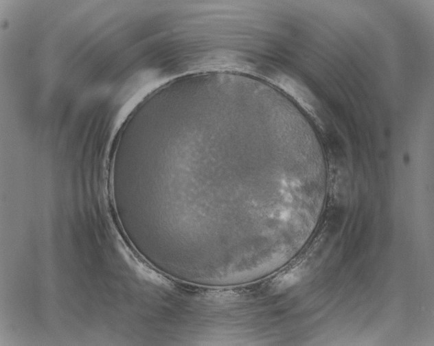 X0000067891094200604201303