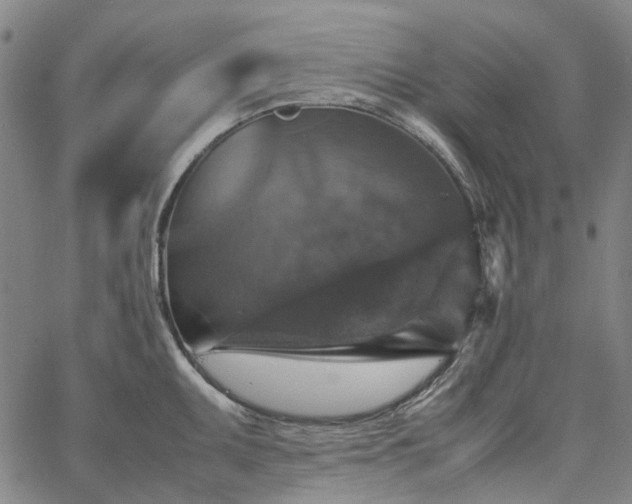 X0000067891095200604201303