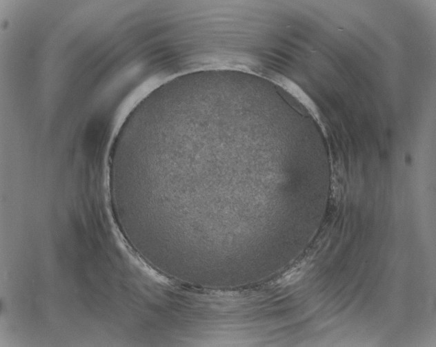 X0000067891096200604201303