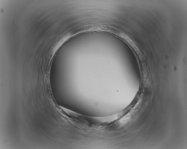 X0000067891097200604201303