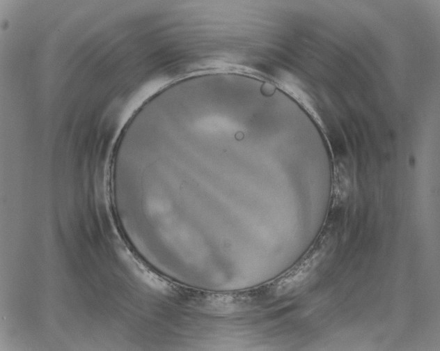 X0000067891098200604201303