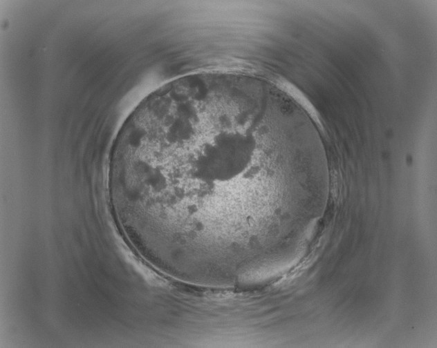 X0000067891099200604201303