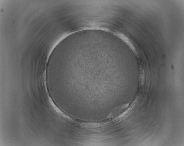 X0000067891100200604201303