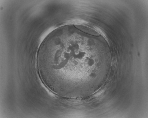 X0000067891103200604201303