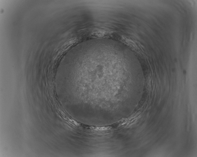 X0000067891105200604201302