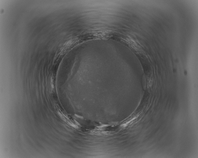 X0000067891106200604201302