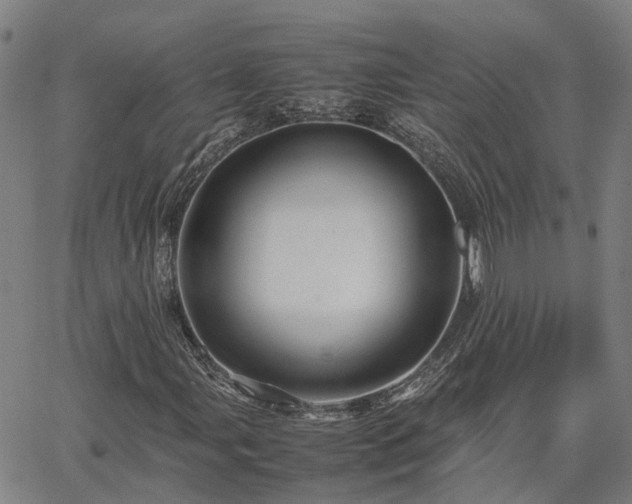 X0000067891107200604201302