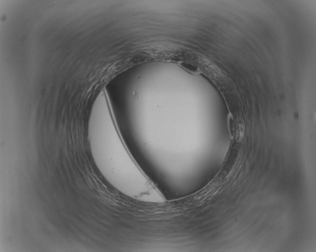 X0000067891108200604201302