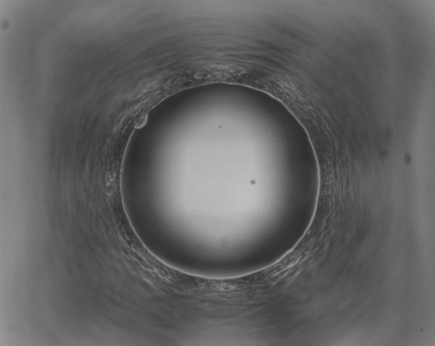 X0000067891109200604201302