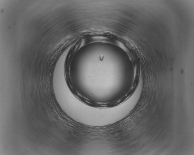 X0000067891110200604201302