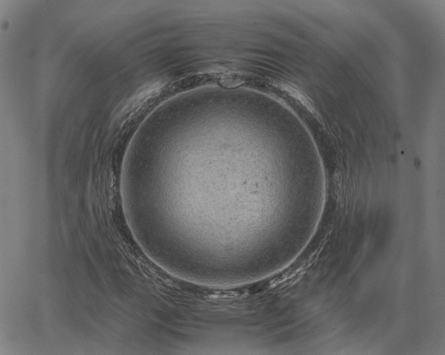 X0000067891111200604201302