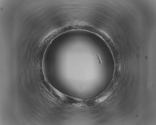 X0000067891112200604201302