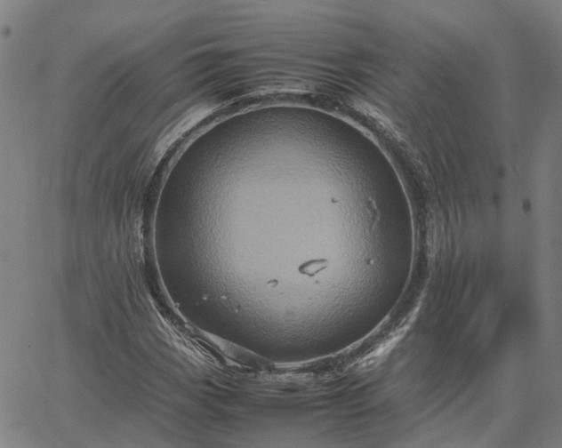 X0000067891113200604201302