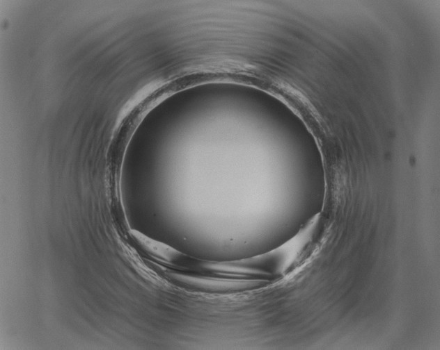 X0000067891114200604201302