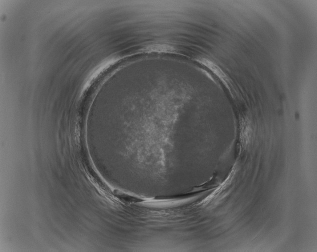 X0000067891115200604201302