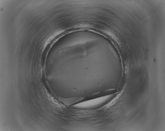 X0000067891117200604201302