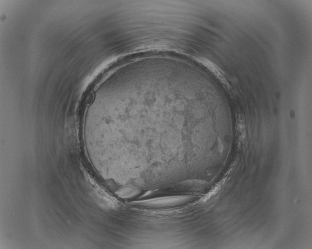 X0000067891118200604201302