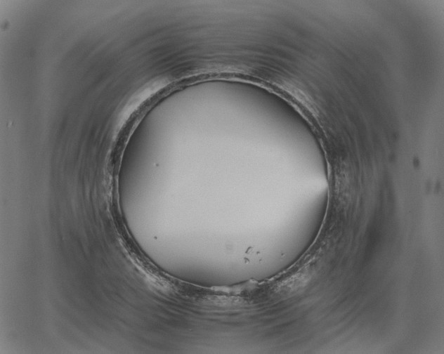 X0000067891119200604201302