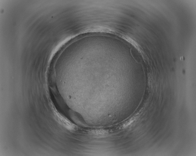 X0000067891120200604201302