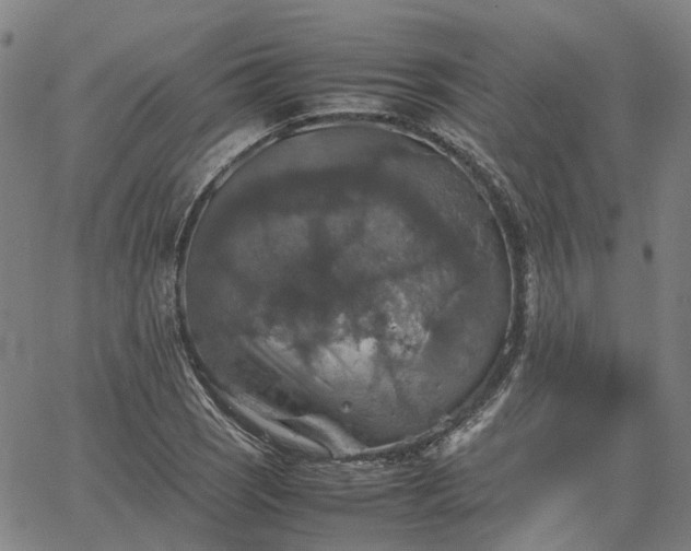 X0000067891121200604201302