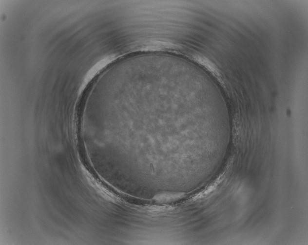 X0000067891122200604201302